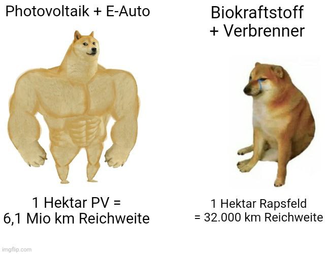 PV + E-Auto – das Dreamteam der Energiewende im Verkehrsektor!